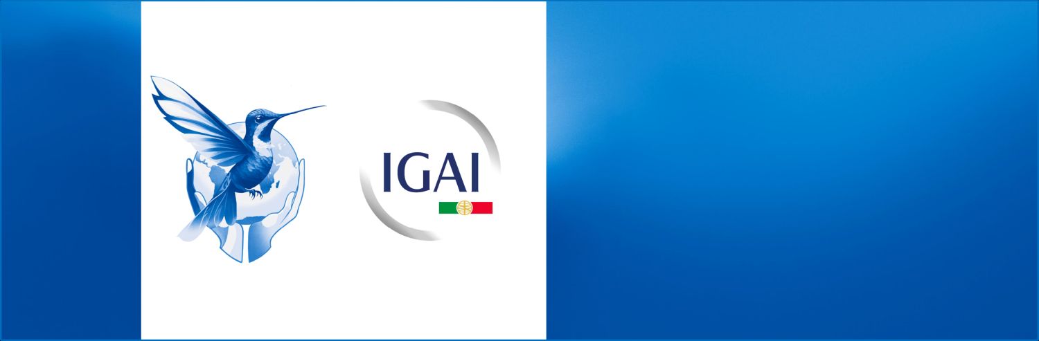 Lei Orgânica